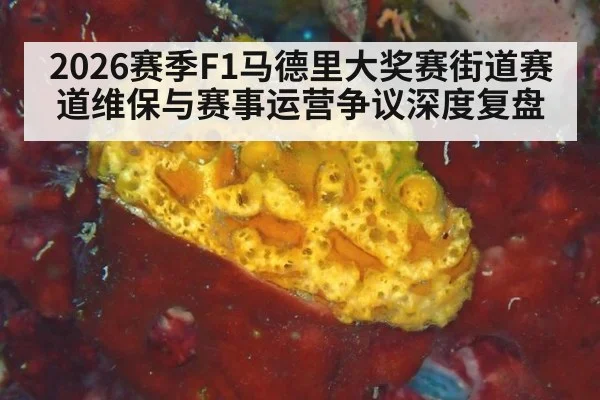 2026赛季F1马德里大奖赛街道赛道维保与赛事运营争议深度复盘